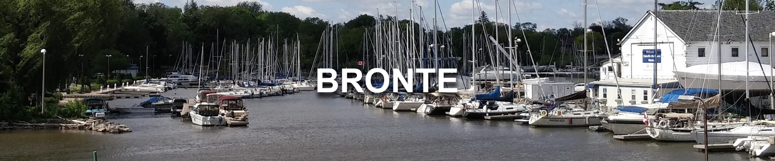 Bronte