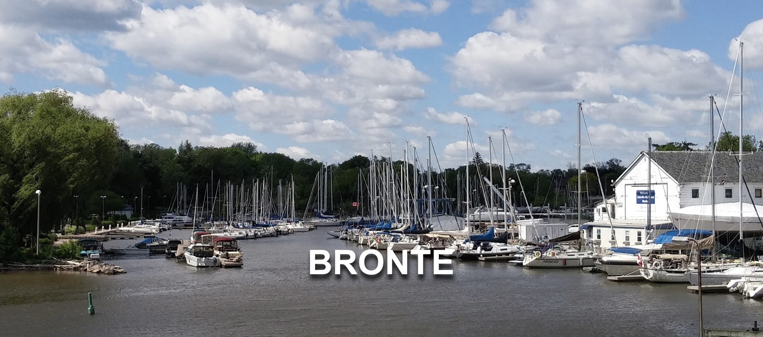 Bronte