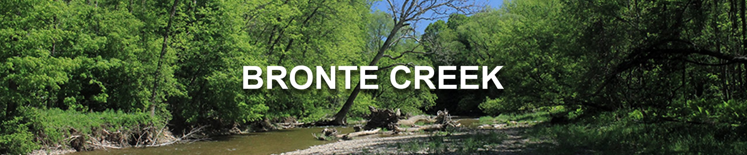 BronteCreek
