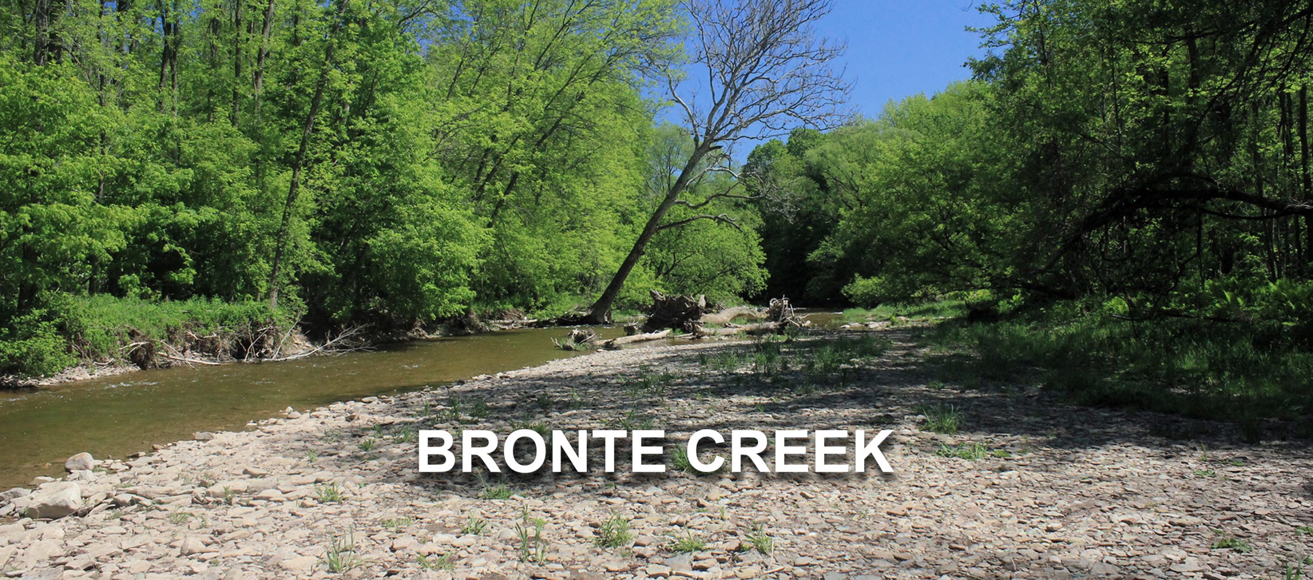 BronteCreek