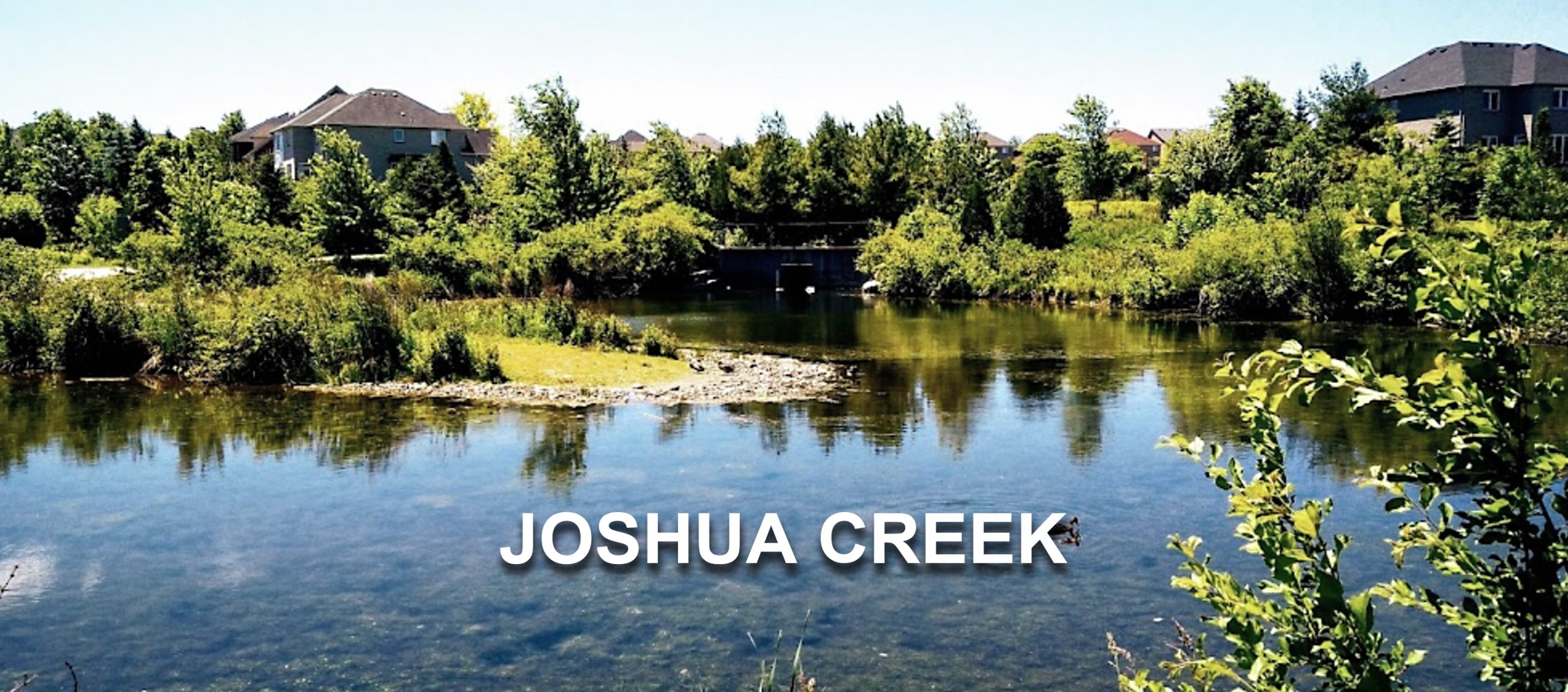 JoshuaCreek