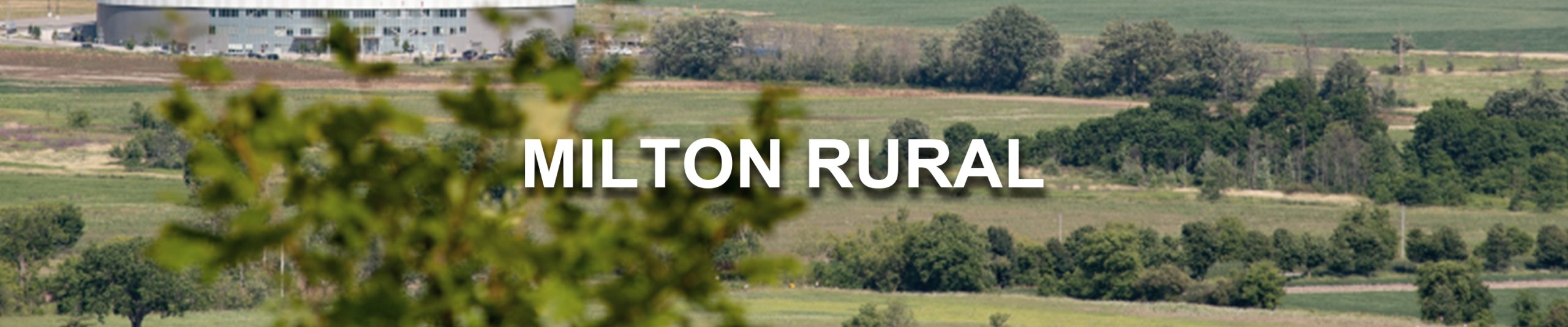 MiltonRural