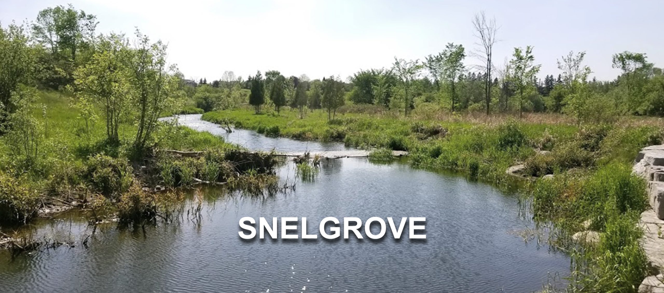 Snelgrove