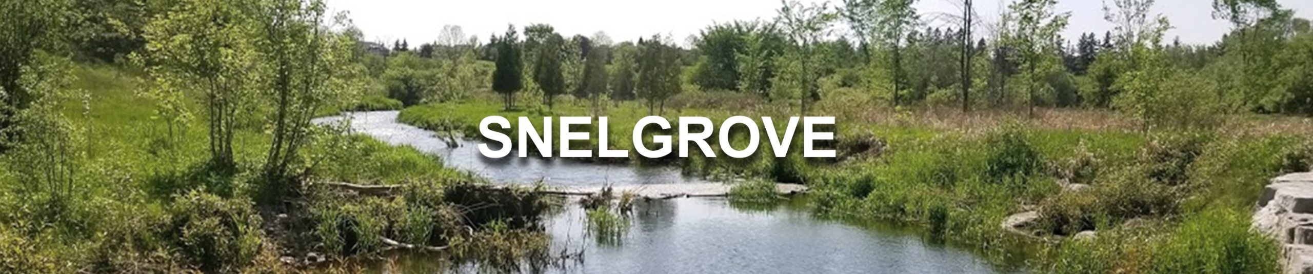 Snelgrove